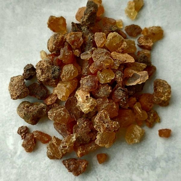 Opopanax (dark female myrrh) - medicinal resin Commiphora erytharaea Engl. 30 gr